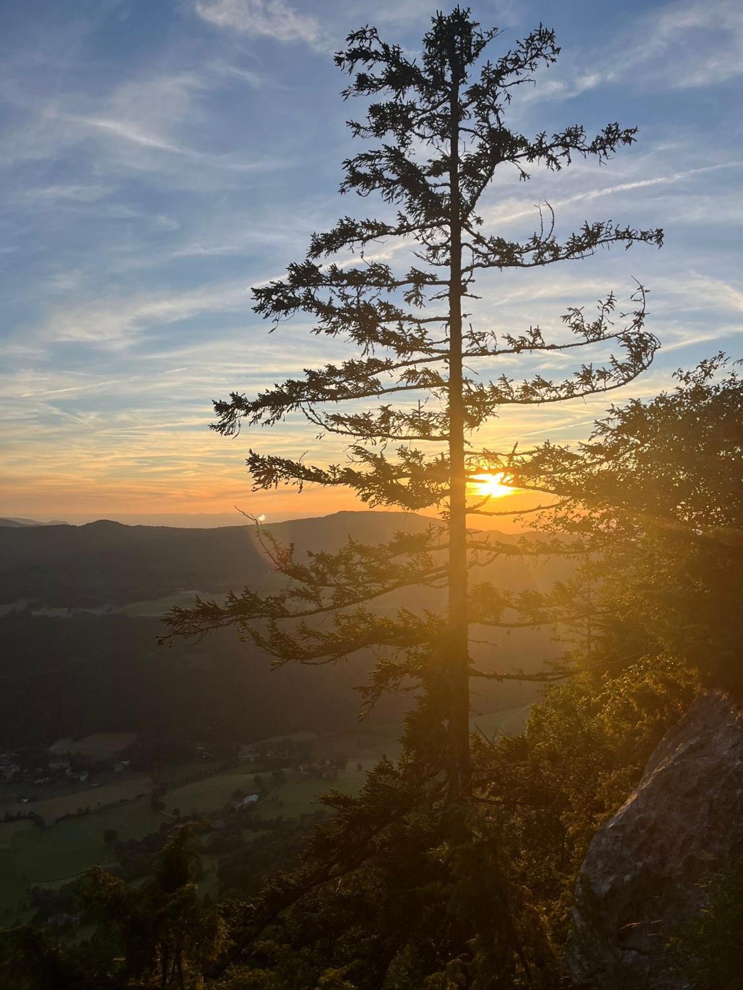 Gite La Morandiere Saint-Martin-en-Vercors Exteriér fotografie